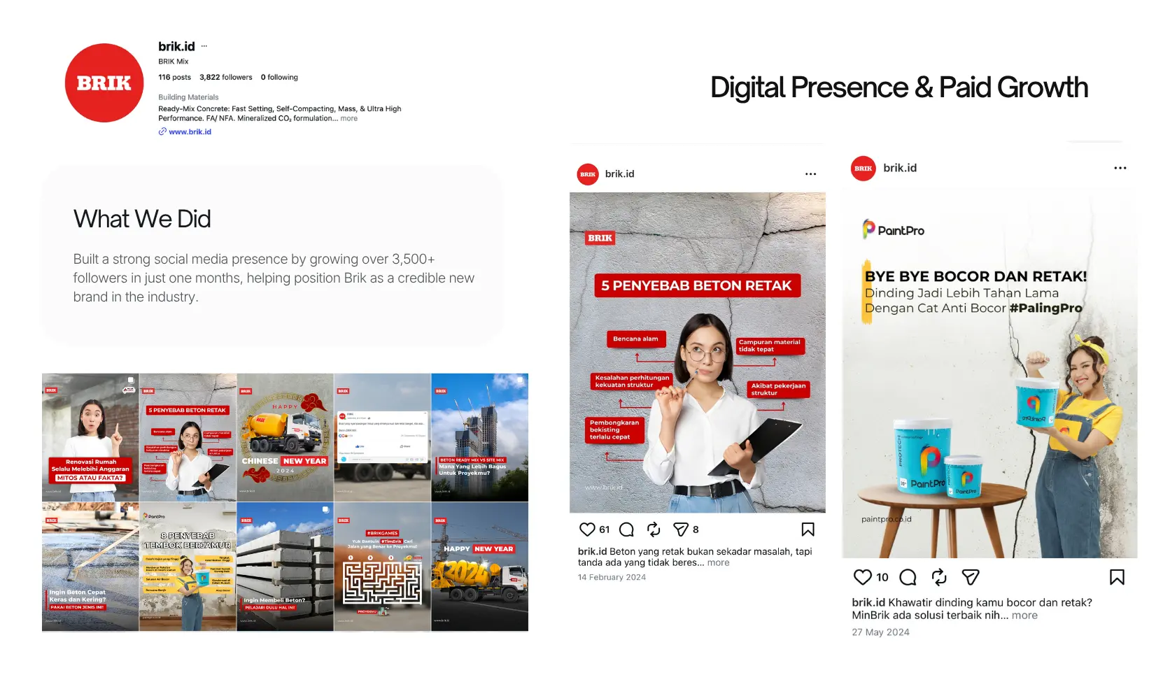 Social Media Management - Agency 36 Brik Social Media Agency Case Study